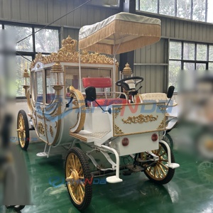 Electric Royal Carriage <b>Double</b> Row Horseless Carriage Luxury Wedding Hotel Many Occasions Royal Sightseeing Carriage Sells Well - Product Image 4