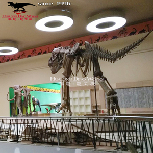 <span class=keywords><strong>Esqueleto</strong></span> fósil de <span class=keywords><strong>Triceratops</strong></span> de dinosaurio de fibra de vidrio realista de tamaño completo - Product Image 2