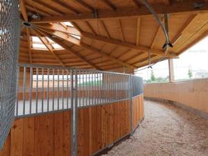 Arenes d'entraînement pour chevaux avec toit en vinyle, structure métallique robuste recouverte, clôture en bambou, enclos rond et anneau de lunging - Product Image 5