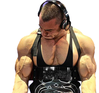Vente en gros Nouveau produit Ceinture personnalisée Gym Fitness Biceps Haltérophilie Arm Curl Blaster