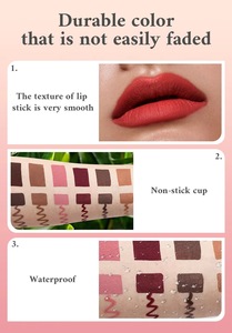 Biểu Tượng Tùy Chỉnh Vegan Sắc Tố Cao Lỏng Lip Lót & <span class=keywords><strong>Matte</strong></span> Lip Gloss Kit Với Bộ Quà Tặng Bao Bì Thân Thiện Với Môi Trang Điểm Thiết Lập - Product Image 6