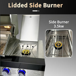 Station de barbecue à gaz d'extérieur en acier inoxydable, ensemble de barbecue de <span class=keywords><strong>cuisine</strong></span> avec évier - Product Image 5