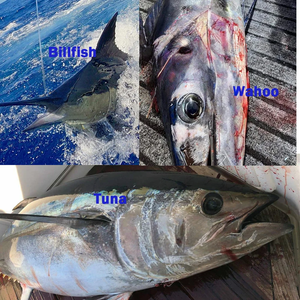 Leurres de pêche en résine pour gros gibier, têtes de pêche en résine pour marlin et thon en eau salée, leurres de traîne avec jupes d'octopus - Product Image 6