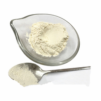 Poudre d'oignon blanc racine déshydratée et cuite en vrac, mouture 100 mesh