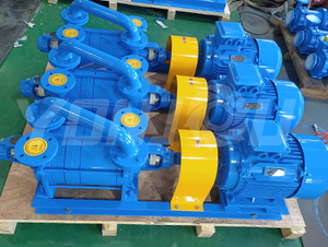 Pompa d'aria ad alto vuoto con motore elettrico in ghisa da 10HP - Product Image 3