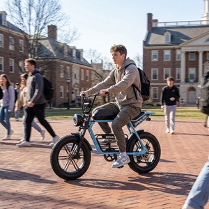 Vélo électrique compact rétro à gros pneus avec batterie au lithium 48V 16Ah et écran LCD, Vélo de croisière à assistance au pédalage pour les trajets quotidiens sur le campus - Product Image 1