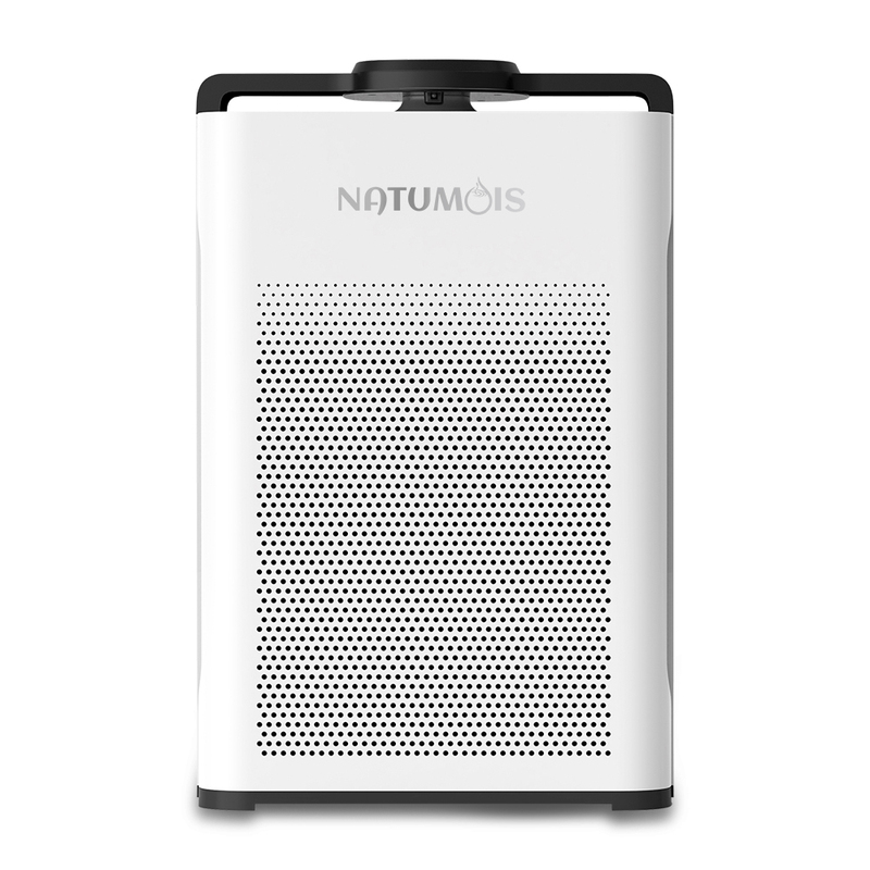 Smart Large Portable Air Purifier with