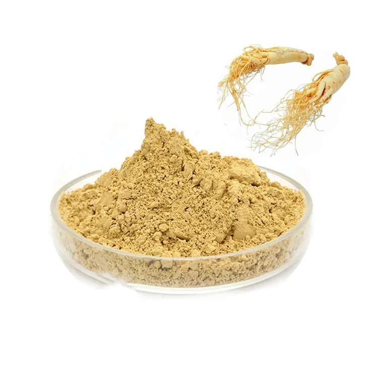 Best price skin products 99% Korean Panax ginseng root extract ginseng powder for ginseng