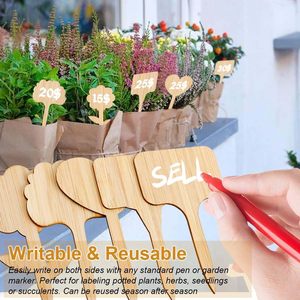 Étiquettes <span class=keywords><strong>de</strong></span> plantes en bambou étiquettes <span class=keywords><strong>de</strong></span> signe <span class=keywords><strong>de</strong></span> plante en bois écologiques marqueurs <span class=keywords><strong>de</strong></span> jardin pour bonsaï graines herbes en <span class=keywords><strong>pot</strong></span> fleurs étiquette <span class=keywords><strong>de</strong></span> plantation - Product Image 6