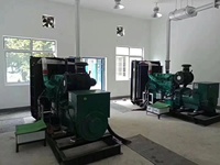 Groupe électrogène diesel Weifang Longxin 250 kW, refroidissement par eau, démarrage électrique 24 V CC, 380 V, châssis ouvert, type silencieux, 1800 tr/min, ATS