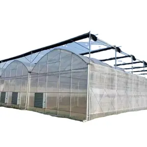 Projet intelligent de serre en verre de cadre d'acier d'agriculture