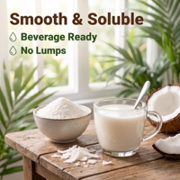 Poudre de lait de coco crémeuse séchée par pulvérisation de qualité supérieure pour la restauration en gros, les services alimentaires, les restaurants, les hôtels et la restauration collective