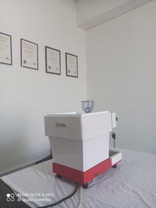 Nuova Macchina per Caffè Espresso Commerciale Kitsilano in Acciaio Inox, 2000W 220V/110V con Garanzia di 1 Anno - Product Image 3