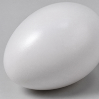 Œufs de remplacement réutilisables en plastique solide pour l'élevage extérieur de volailles Geshifeng, simulation d'oiseaux, vente en gros