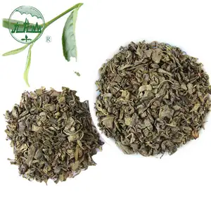 优质厂家直接中国散火药绿茶每公斤9475价格