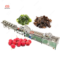 Groenten Fruit Was- en Verwerkingsmachine Fruitwaslijn Aardbeien Bosbessen Reinigingsmachine Motor 304 RVS