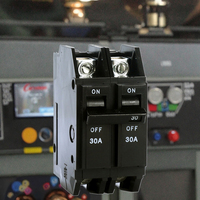 Interruptor Automático Modular (MCB) de CA Enchufable 120/240V 20A 30A 40A 50A 60A 70A 80A 100A 1P 2P 3P THQC TQC para Uso Industrial, Mini Interruptores de Circuito en Miniatura