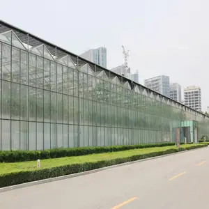 Tampa de vidro da estrutura de aço galvanizada usado casa verde comercial com sistema de cultivo hidropônico