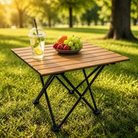 Table pliante de glamping moderne en acier au carbone, motif grain de bois, légère, haute résistance, portable pour camping extérieur