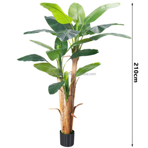 Planta Artificial de Plátano, Ecológica, Duradera y Moderna, para Decoración de Hogar, Bodas y Centros Comerciales, Fabricada en China - Product Image 6