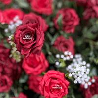 Arche de fleurs de mariage en fer Sunwedding avec roses en soie - Couleur et taille personnalisables pour les décorations de mariage, d'Halloween et de Noël
