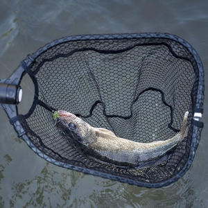 Épuisette de pêche extensible en aluminium avec poignée télescopique pour bateau kayak et pêche à terre - Product Image 5