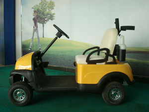 Affordable Price <strong>Single</strong> <strong>Seat</strong> Electric <strong>Golf</strong> <strong>Buggy</strong> <strong>for</strong> <strong>Sale</strong> - Product Image 5