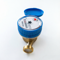 Customized Services Dry Type Single Jet Brass Mechanical Cold/Hot Water Meter for Home Use