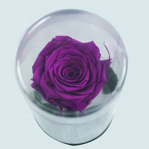 ดอกกุหลาบอบแห้งขนาด 8*8*30 ซม. ในกล่องของขวัญ PVC ดอกกุหลาบคงสภาพตลอดกาล ของขวัญวันวาเลนไทน์ - Product Image 5