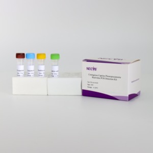 Độ nhạy cao huỳnh quang pcr <span class=keywords><strong>Kit</strong></span> cho cừu truyền nhiễm pleuropneumonia phát hiện - Product Image 3