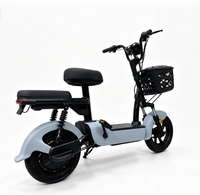 Vélo Électrique Urbain Double Siège pour Adultes de Haute Qualité – Vélo Électrique de Commutation pour 2 Personnes – Offre Spéciale