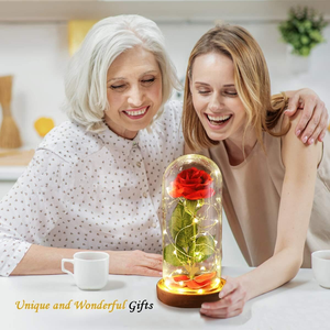 Rosa Eterna Artificial con Luz LED, La Bella y la Bestia en Cubierta de Cristal, Decoración Navideña para el Hogar, Regalo para el Día de la Madre, San Valentín, Año Nuevo - Product Image 6