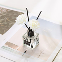 Ensemble de diffuseur d'huiles essentielles de luxe 50 ml pour chambre et toilettes, protection de l'environnement, parfum longue durée dans un flacon en verre