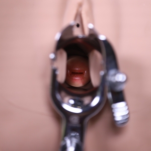 Simulatore ginecologico avanzato Plus, modello realistico per l'addestramento medico all'installazione di IUD e per l'esame laparoscopico - Product Image 6