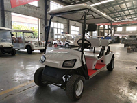 Voiturette de golf électrique 3-4 places, véhicule utilitaire, batterie au lithium, autonomie de 90 km, vitesse maximale de 50 km/h, pneus tout-terrain robustes