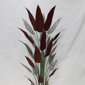 Pianta Artificiale Calathea <span class=keywords><strong>Majestica</strong></span> White Star Staccabile Realistica per Decorazione Interna di Casa, Ufficio e Hotel - Product Image 6