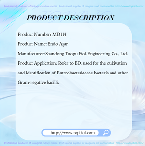 <span class=keywords><strong>Agar</strong></span> Endo (Referencia BD) para el <span class=keywords><strong>Cultivo</strong></span> e Identificación <span class=keywords><strong>de</strong></span> <span class=keywords><strong>Bacterias</strong></span> Enterobacterias y Otros Bacilos Gramnegativos - Product Image 2