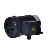 750W 220V 380V 415V Couple élevé 3phases Moteur réducteur de vitesse AC monophasé à bas régime