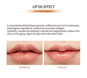 Ginger <span class=keywords><strong>Mint</strong></span> Minerale Hydraterende Langdurige Glansrijke Vloeibare Capsule Lipbalsem Private Label Lip Olie Plumper Olie - Product Image 2