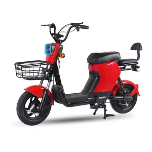 450W Elektrische Motor China Fabriek Levering Elektrische Fiets Met 48V 20ah Lood Zuur Batterij