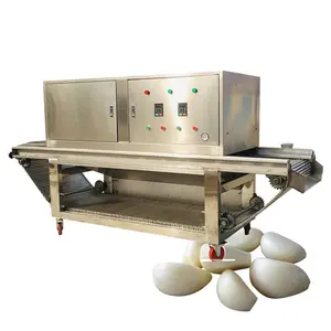 Knoblauch Verarbeitung Maschinen/Knoblauch Schälmaschine Produktion Linie/Industrielle Kette Angetrieben Knoblauch Schäler mit Hoher Kapazität