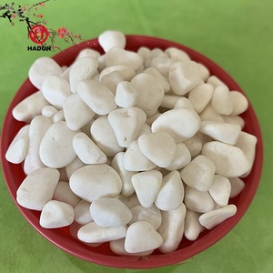 <span class=keywords><strong>Pierre</strong></span> de gravier blanche neige <span class=keywords><strong>Pierre</strong></span> décorative Jardinage et aménagement paysager - Product Image 6