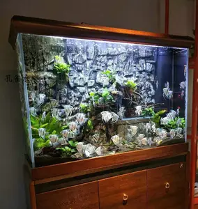 Аквариум для аквариума
