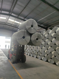 Maille de fil d'acier galvanisé pour le renforcement des pipelines de béton, renforcée par une maille soudée pour le renforcement des pipelines pétroliers et gaziers - Product Image 2