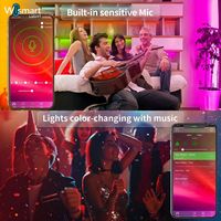 Tira de Luces LED RGBIC Inteligente Tuya DC24V, Control Remoto por WiFi, Sincronización con Música, IP20 IP65, Cambio de Color, Kit de Cinta Flexible