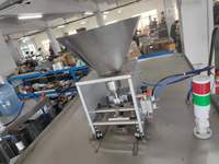 Venta Directa de Fábrica: Máquina Neumática Automática de Alta Precisión para Llenado y Sellado de Bebidas, de Grado Alimenticio, con Interior y Exterior de Acero Inoxidable y Plástico