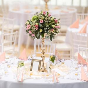 Support à fleurs en métal robuste moderne Revêtement antirouille Design élégant et solide pour la maison, le bureau, le jardin, la décoration intérieure et extérieure - Product Image 2