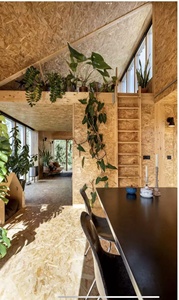 Panel <span class=keywords><strong>OSB</strong></span> <span class=keywords><strong>para</strong></span> Techos, Revestimientos y Pisos - Nancy - Product Image 4