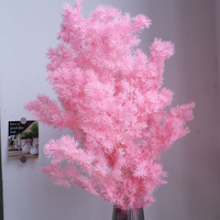 Décoration Florale Éternelle 150g : Fougère, Asperge Myriocladus, Pin pour Composition Florale Saint-Valentin et Remise de Diplôme