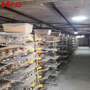 Breeding Cages Quail Cage Breeding In Liaocheng Shandong Province Has Realized Full Automation Of Quail Breeding